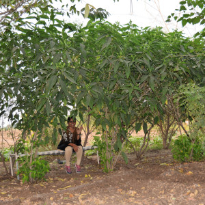 Greenery at Gokul