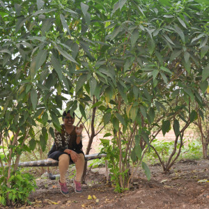 Greenery at Gokul